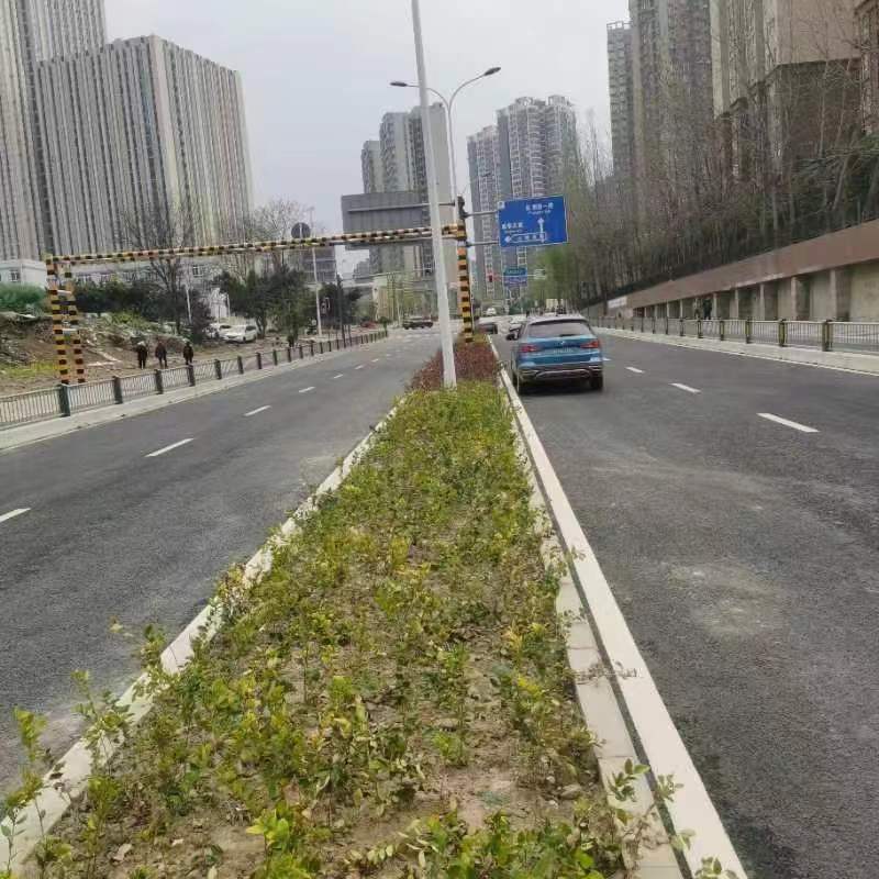 下穿道路正式通車，北湖至龍潭寺場鎮再不用繞行
